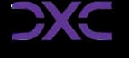 D logo